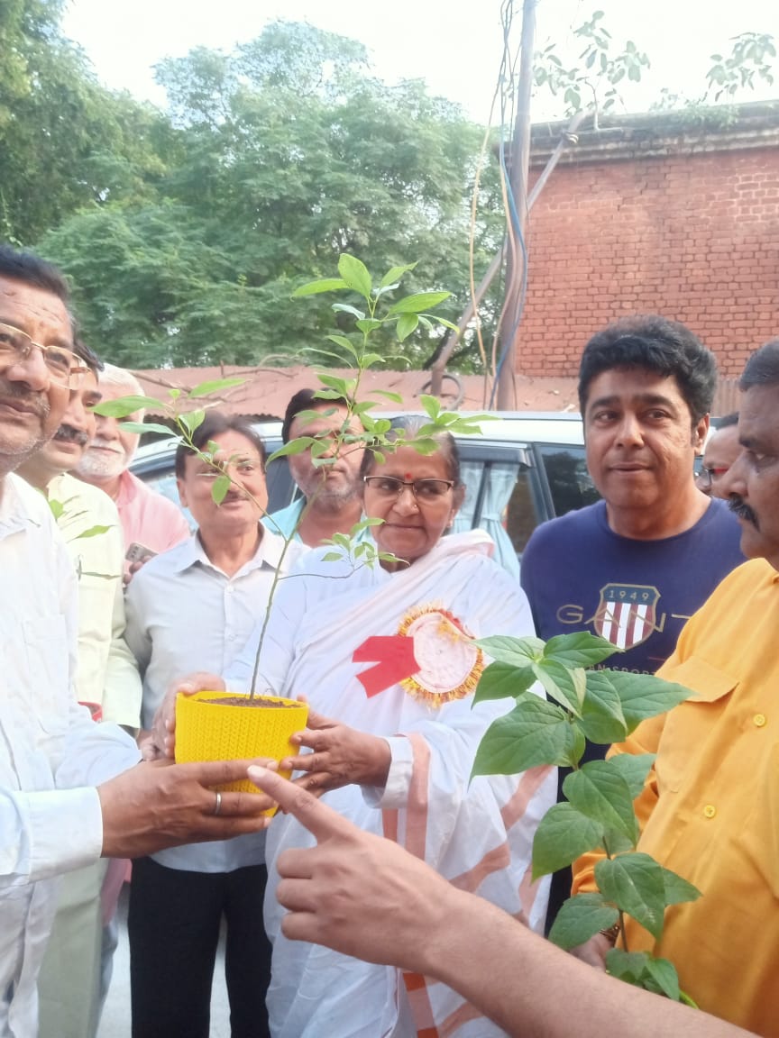 शहर भाजपा ने रौपे 17 सौ पौधे