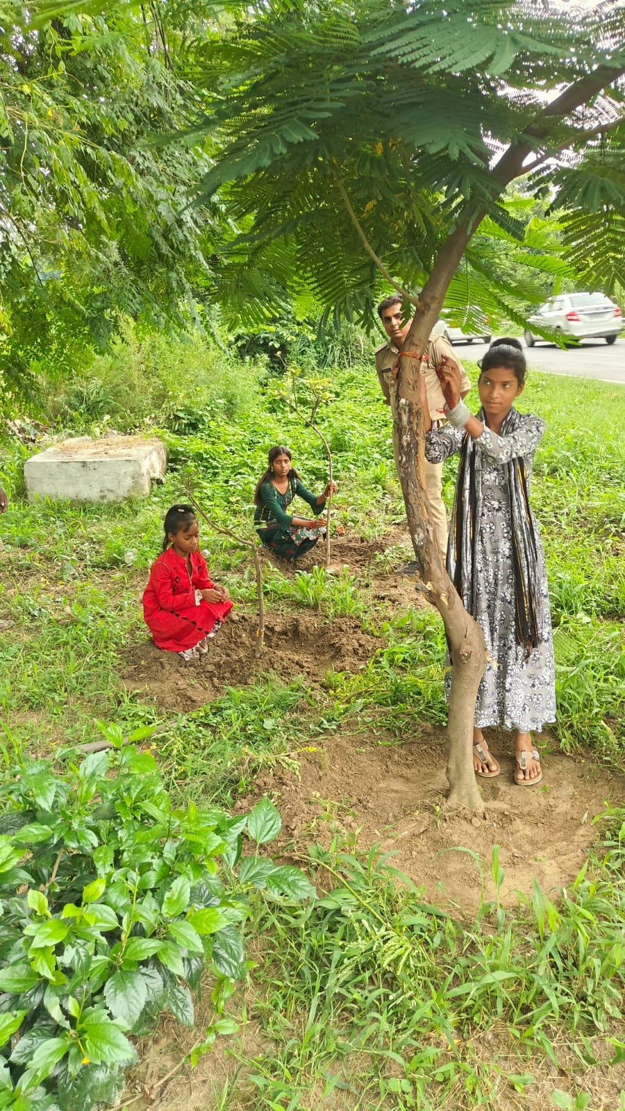 रक्षाबंधन-वृक्षाबंधन के रूप मे मनाया