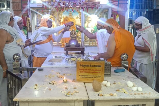 पांडुक शिला पर विराजमान कर अभिषेक