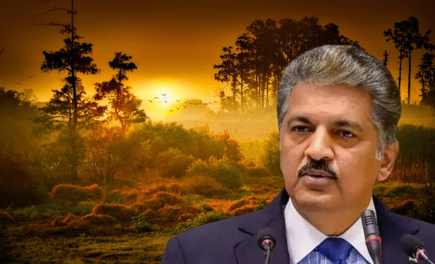 महेन्द्र की बल्लेबल्ले टाटा थल्ले थल्ले