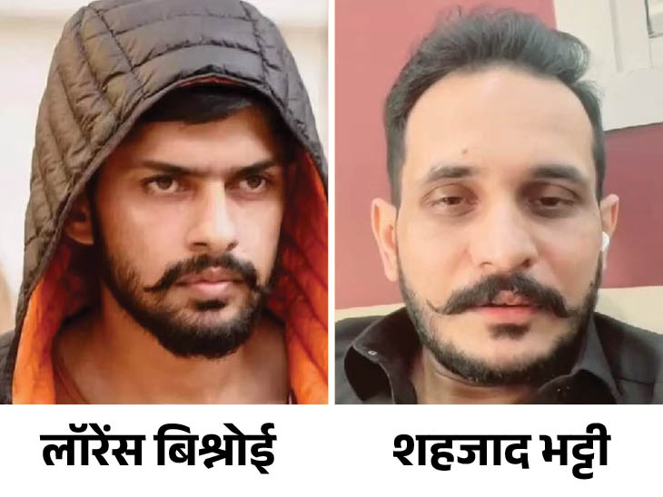 पाकिस्तान स्ट्रीट डॉग से क्यों डरा