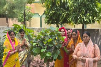 बट सावित्री: मृत्यु के पाश से छीना पति