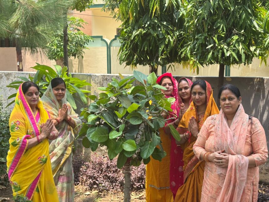 बट सावित्री: मृत्यु के पाश से छीना पति