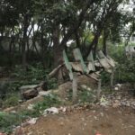 दिल्ली वालो को संजय वन में लगता है डर
