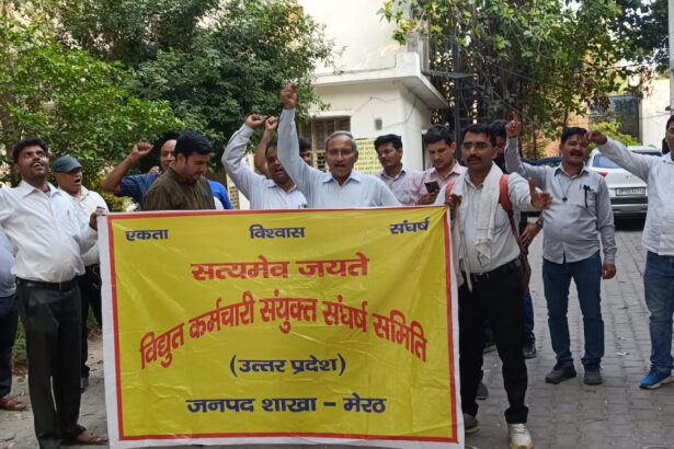 ऊर्जा मंत्री के बयान पर नाराज