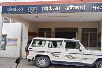 कोराेना केसों से हाई अलर्ट