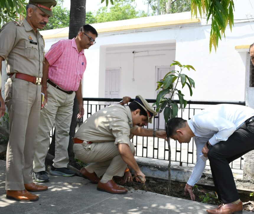 DIG ने खुद लगाया पौधा