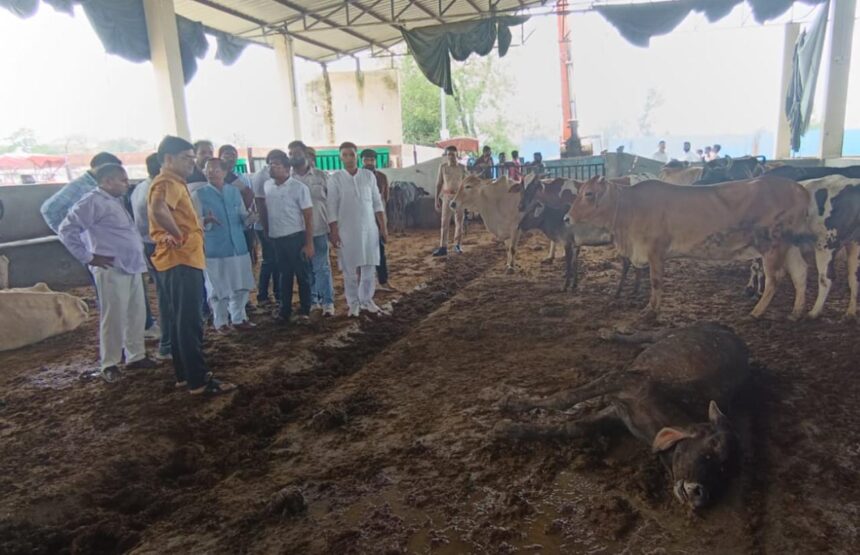 शारदा की तीस दिन की मोहलत