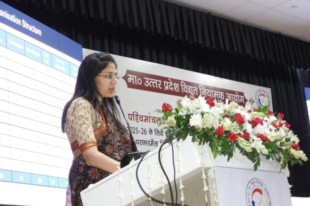 एमडी ने बतायी आयोग को उपलब्धी