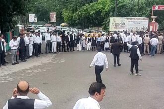 युवा वकीलों ने दिखाया दम