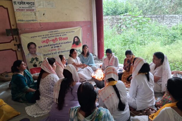 पौधा रोपण कर जन्म दिन मनाया