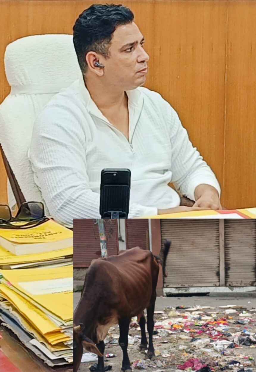 CEO CANT अब एक्शन में