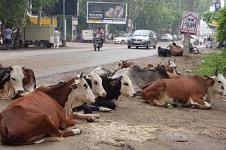 इनका पुण्य बाकि की मुसीबत