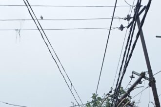 बारिश ने हिला दी बिजली की चूले