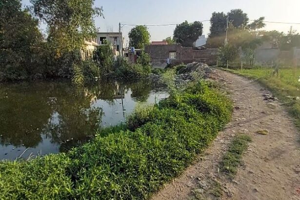 माफिया पी गए तालाबों का पानी