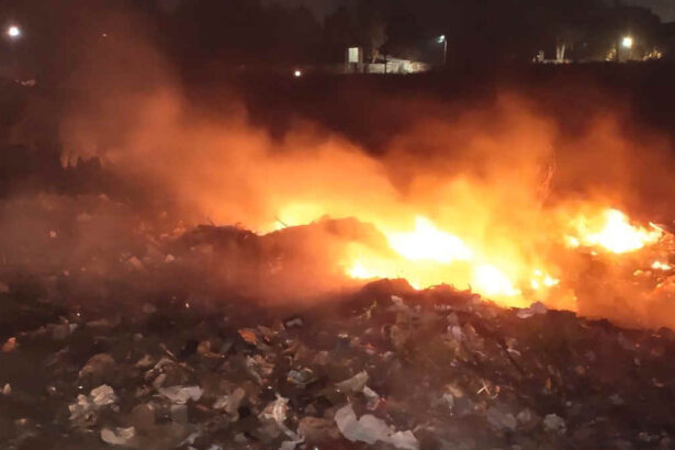 ना एनजीटी का खौफ ना सुप्रीमकोर्ट के चाबुक का डर