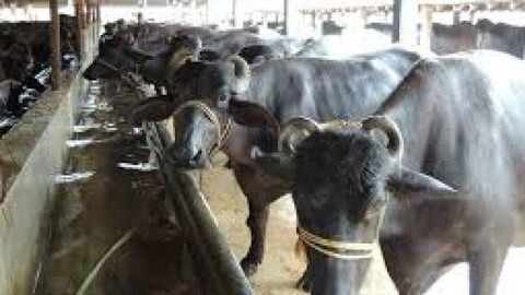 चोरी-चोरी चुपके-चुपके लौट आयीं फिर से