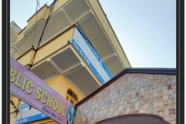 नगर निगम के जोहड़ पर कोठी व स्कूल