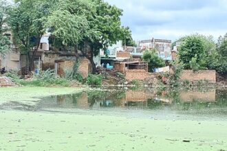 अफसर देखते रहे तालाबों पर कब्जे होते रहे