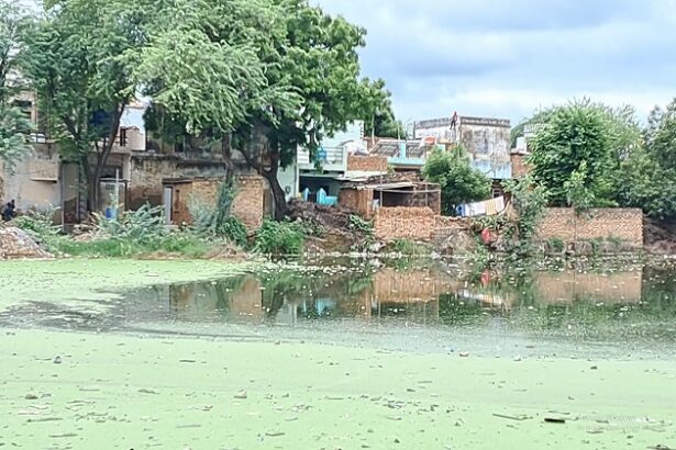 अफसर देखते रहे तालाबों पर कब्जे होते रहे
