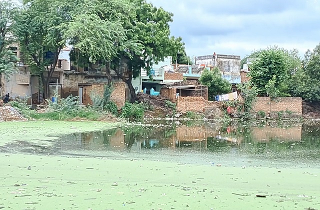 अफसर देखते रहे तालाबों पर कब्जे होते रहे