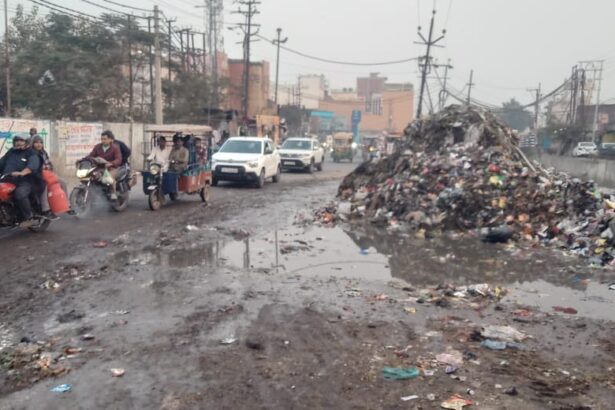 शहर की सफाई में नहीं कोई सुधार