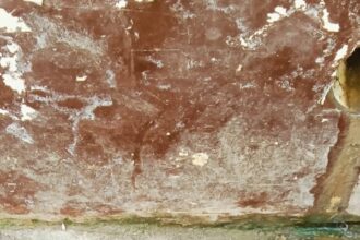 स्वच्छ भारत अभियान को पलीता