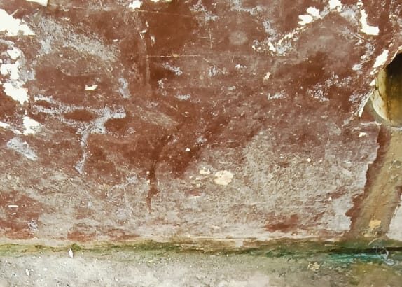 स्वच्छ भारत अभियान को पलीता