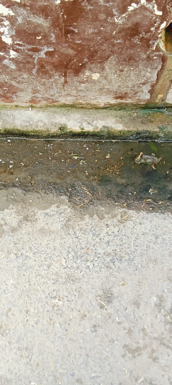 स्वच्छ भारत अभियान को पलीता