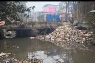 नालों से निकालते हैं हटाते नहीं सिल्ट