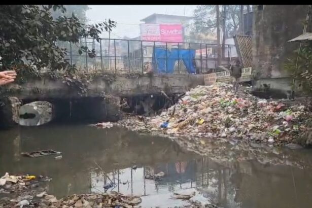 नालों से निकालते हैं हटाते नहीं सिल्ट