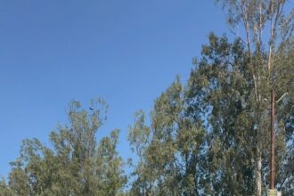 जगह जगह पवन गुर्जर का स्वागत