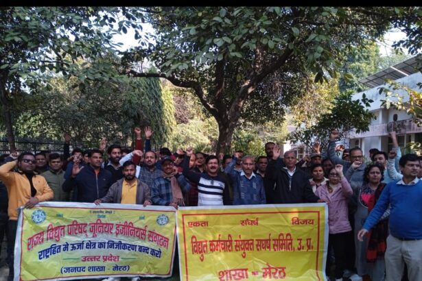 निजीकरण के विरोध में प्रदेश व्यापी प्रदर्शन