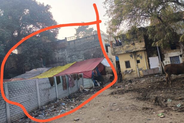 फिर आबाद हो गयी छावनी में डेयरियां