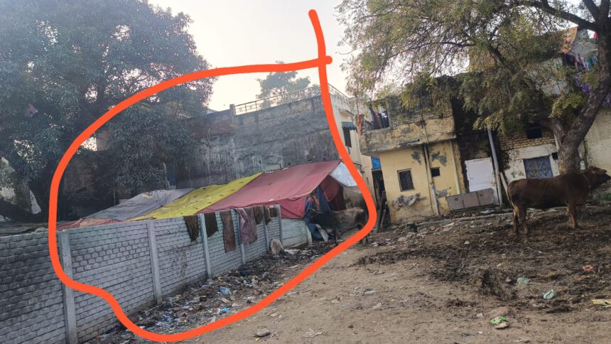 फिर आबाद हो गयी छावनी में डेयरियां