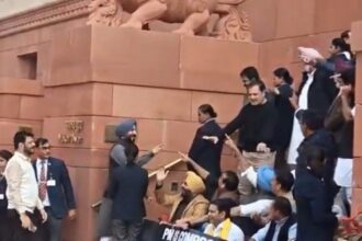 संसद के गेट पर अचानक ये क्या