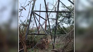 फीडर ही चोरी कर ले गए बदमाश