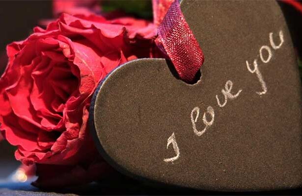 रोज के साथ लव की शुरूआत