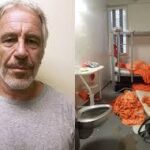 एपस्टीन की हत्या या आत्महत्या